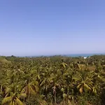 Posada Ecoturistica Wiwa