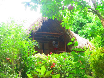 Ecoturistica Wiwa *