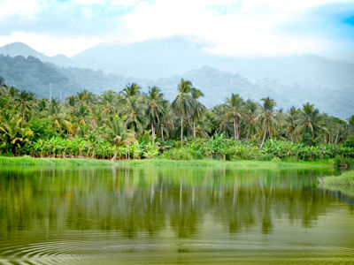 Ecoturistica Wiwa Lodge *