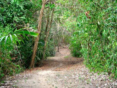 Lodge Ecoturistica Wiwa Santa Marta (Magdalena)
