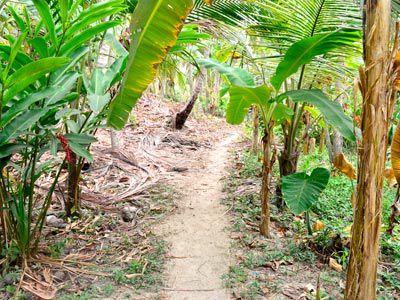 Ecoturistica Wiwa * Santa Marta (Magdalena)